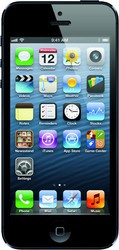 Apple iPhone 5 16GB - Железнодорожный